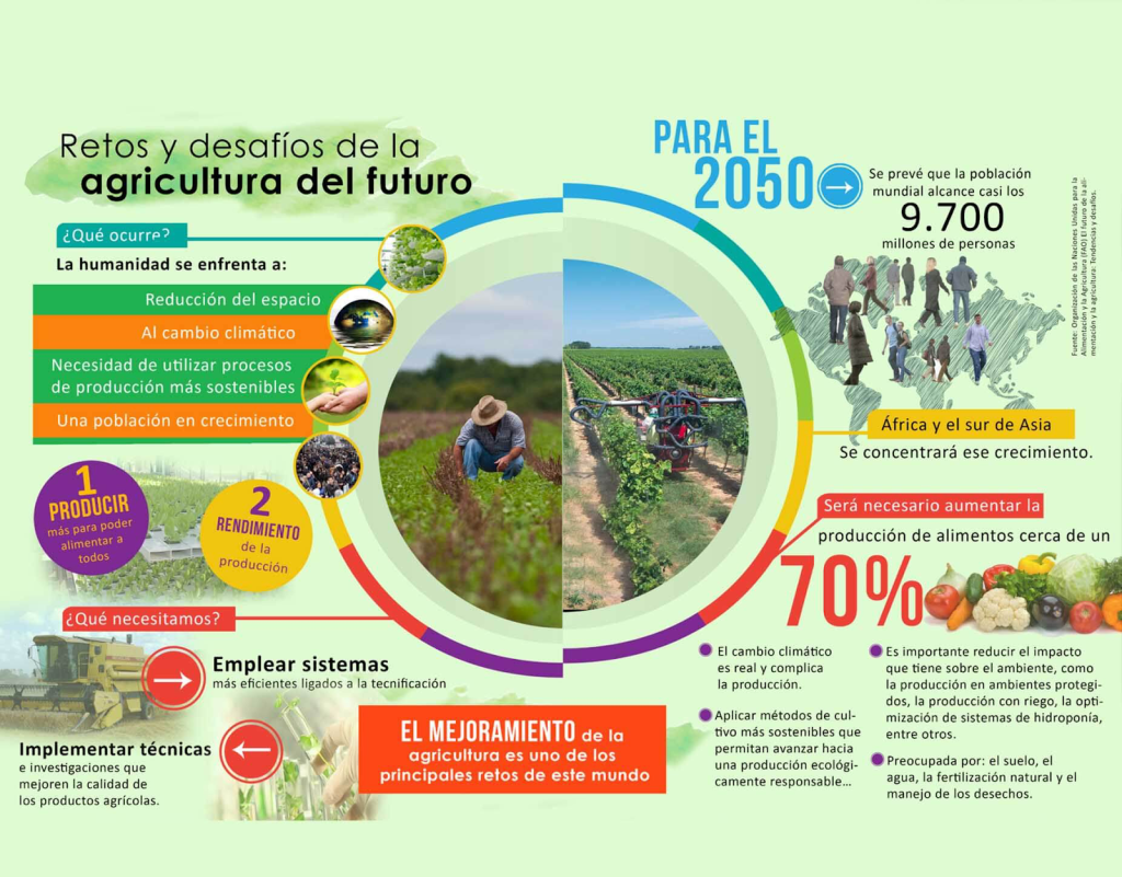 Agricultura vertical