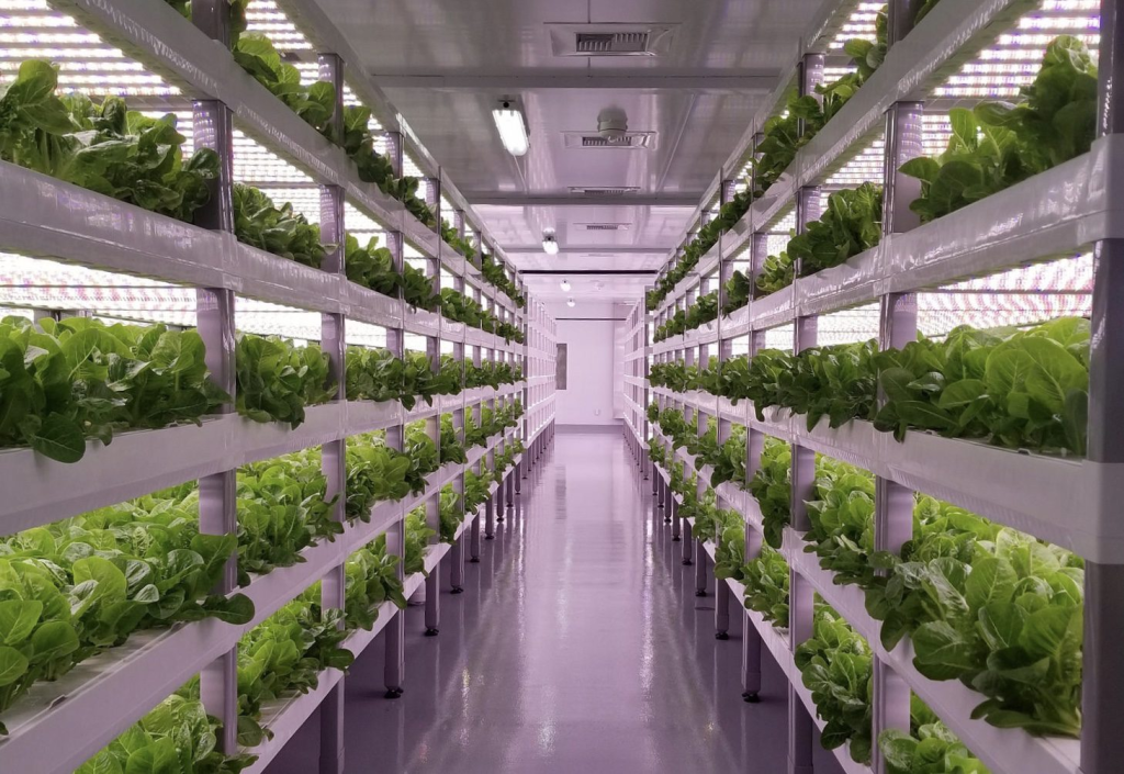 Agricultura vertical