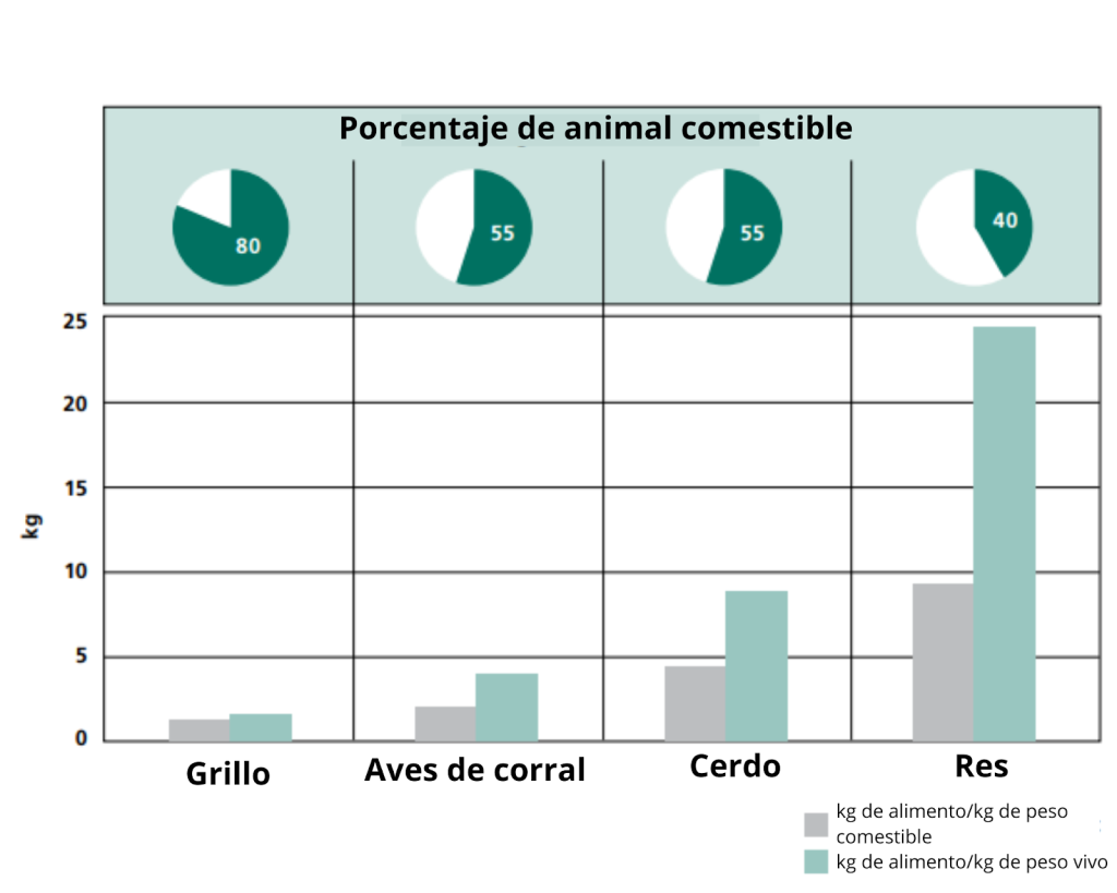 Proteínas