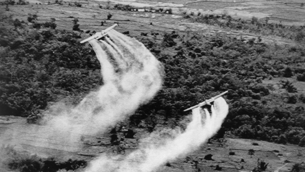 impacto de las guerras en el medio ambiente