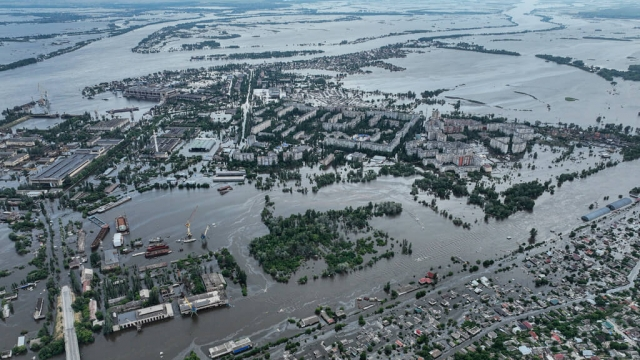 impacto de las guerras en el medio ambiente