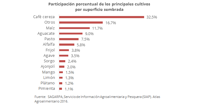bienestar físico y medio ambiente