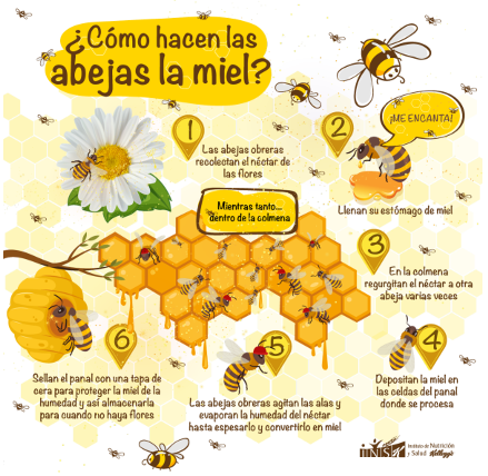 cuidado de las abejas y los polinizadores