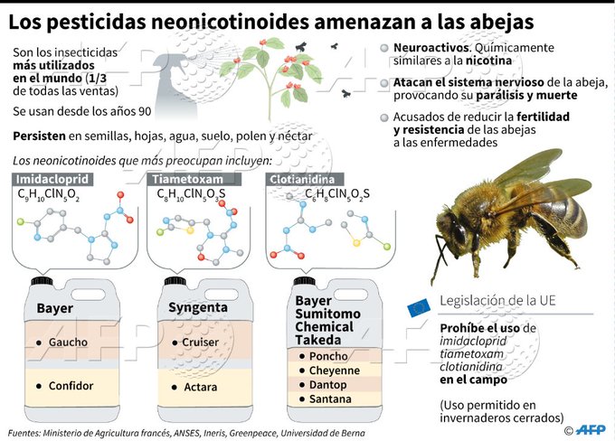 cuidado de las abejas y los polinizadores