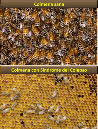 cuidado de las abejas y los polinizadores