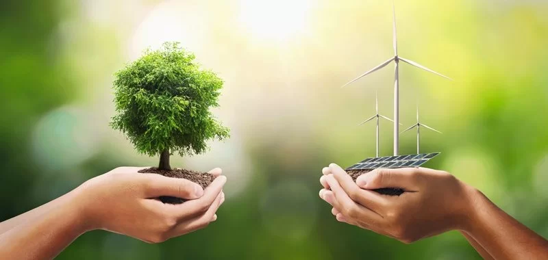 diferencia entre sostenibilidad y la sustentabilidad