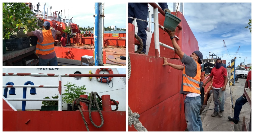resiliencia comunitaria San Andrés